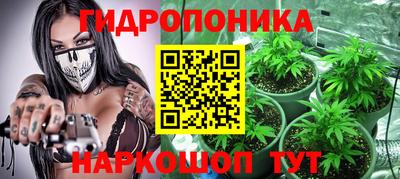 apvp Пугачёв