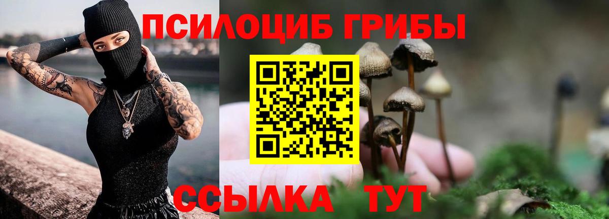 Псилоцибиновые грибы GOLDEN TEACHER Новоуральск